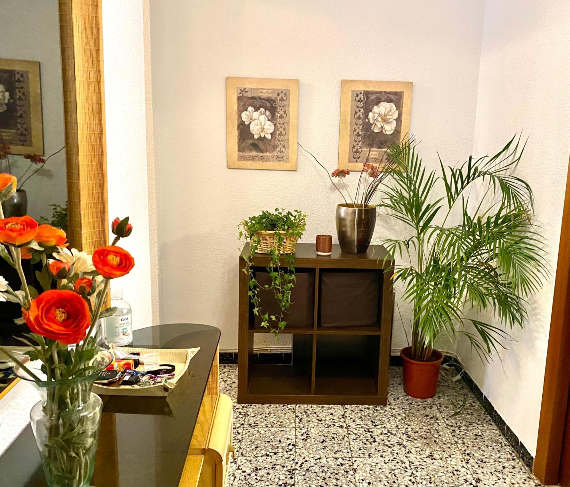 Habitacion My Home Alicante Kültér fotó